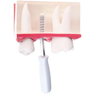 dentist nyc